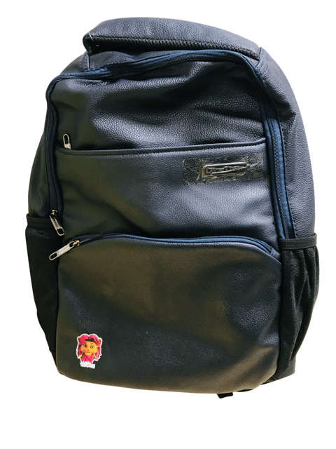 Corporate Backpack